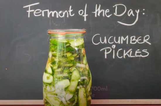How to Ferment Cucumbers