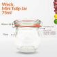 Weck Mini Tulip Jar 75ml - jars.ie